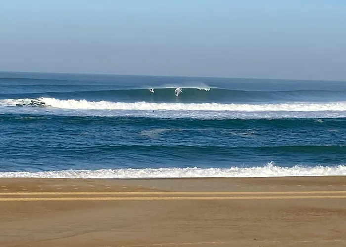 Апартаменты Cocon Intimiste Hossegor Сорт-Осгор